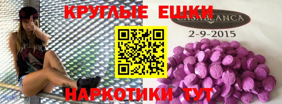 МЕФ Ейск