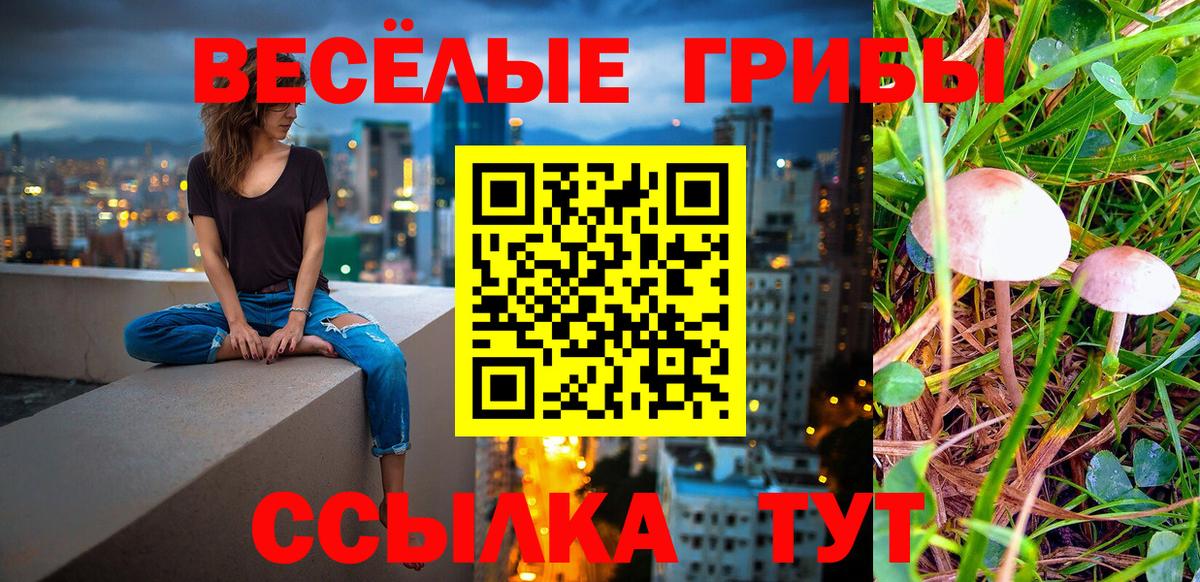 Ейск  Галлюциногенные грибы Cubensis  Вход с VPN 