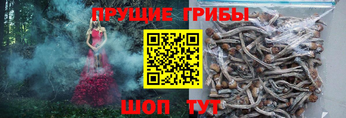 Псилоцибиновые грибы GOLDEN TEACHER Ейск